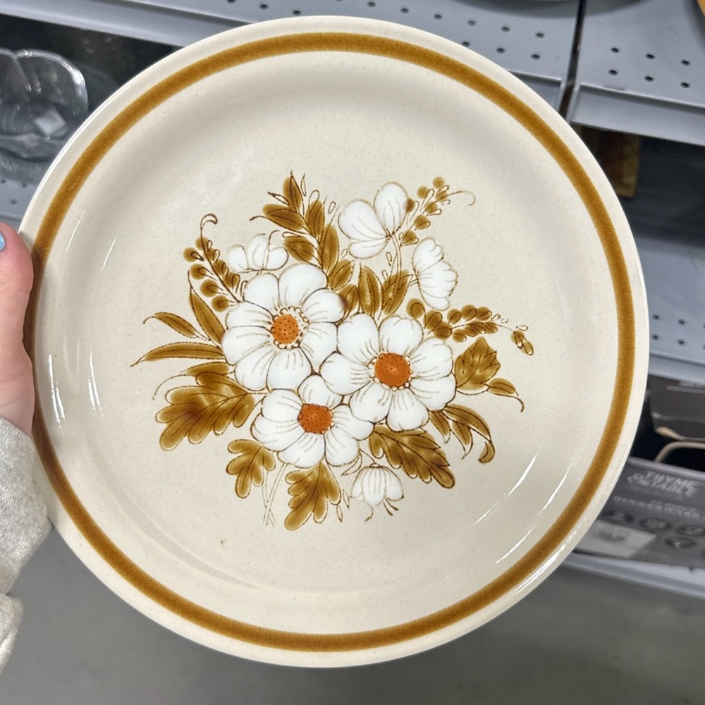 Floral Cream and Brown Set of 5 Dinner Plates